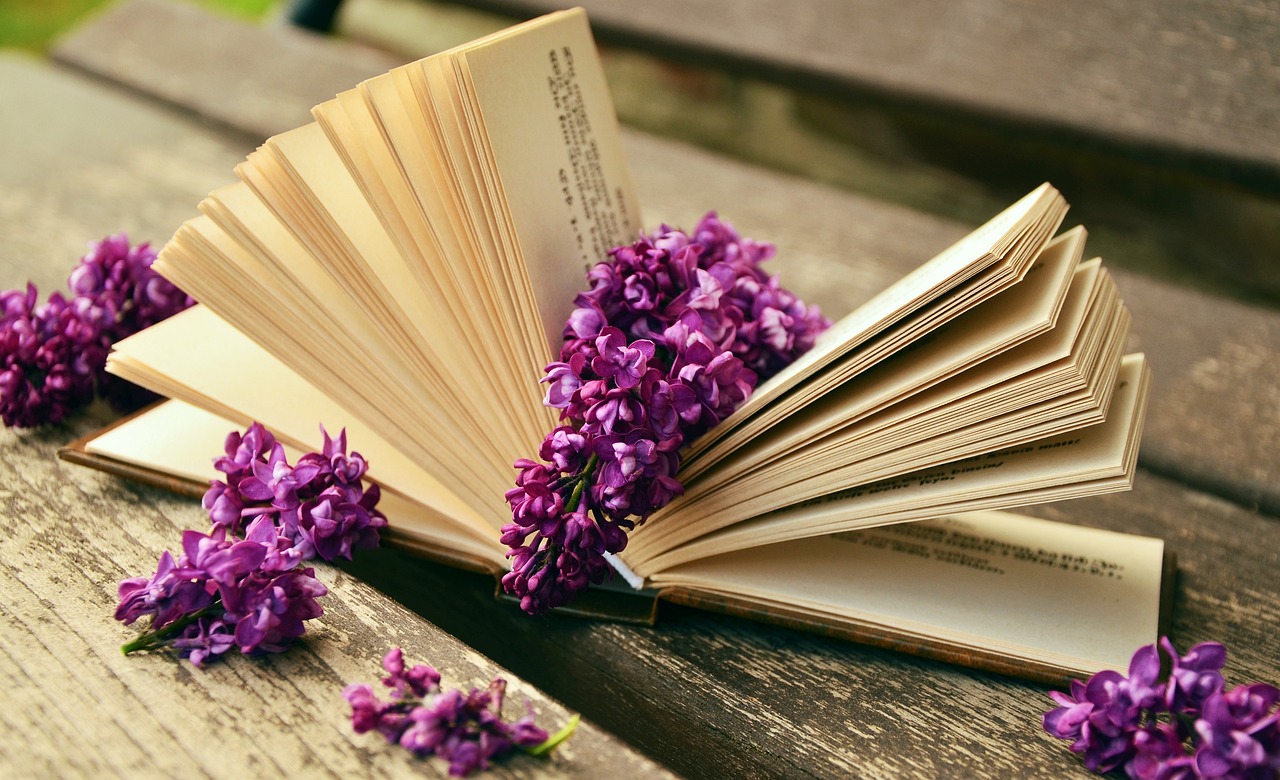 entdecken sie die faszinierende welt der erotischen literatur. lassen sie sich von sinnlichen geschichten und leidenschaftlichen begegnungen verzaubern, die ihre fantasie anregen und ihre sinne entführen.