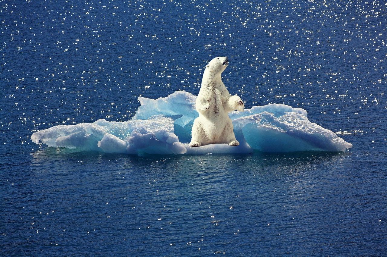 erfahren sie alles über den klimawandel, seine ursachen, auswirkungen und maßnahmen zur bekämpfung. informieren sie sich über die bedeutung des umweltschutzes und wie wir gemeinsam eine nachhaltige zukunft gestalten können.