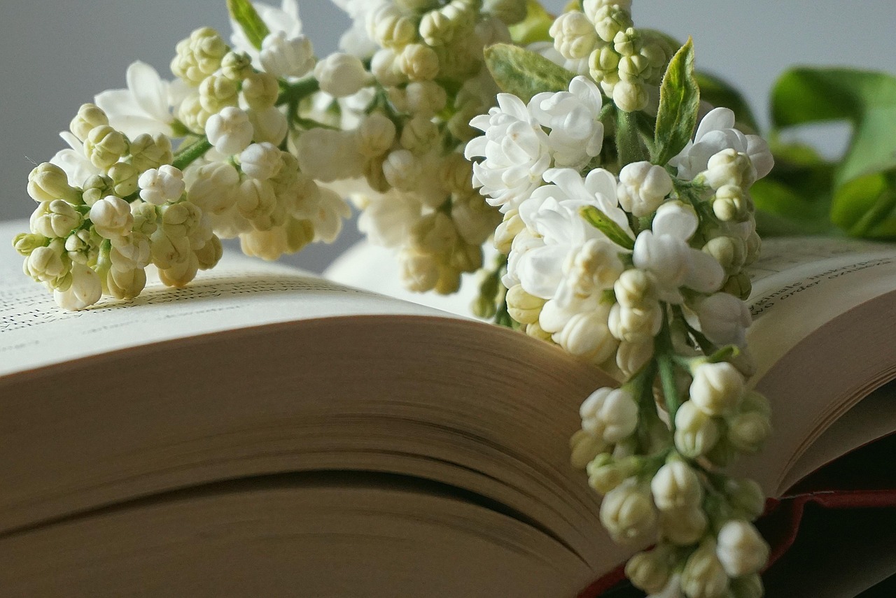 entdecken sie die neuesten literarischen trends und strömungen, die die welt der literatur prägen. von innovativen schreibstilen bis hin zu aufkommenden genres – bleiben sie informiert über das, was in der literarischen szene angesagt ist.